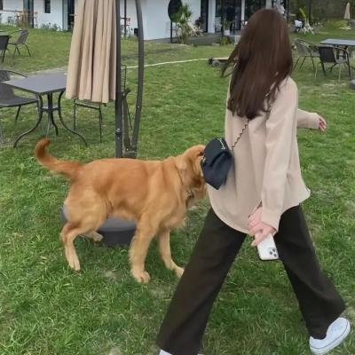 圣诞大件事2